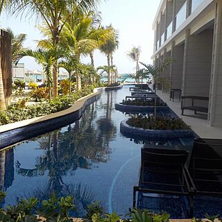 Royalton White Sands Resort — Plunge Pool