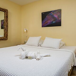 Buddy Dive Resort — Bedroom