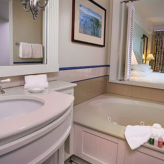 Disney's Beach Club Villas — Bathroom