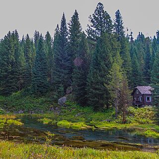 Timbers at Island Park Village Resort — Grounds