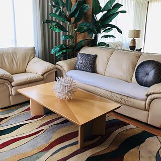 Aloha Towers — Sample Living Area