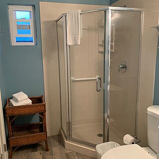Blue Whale — Sample Bathroom