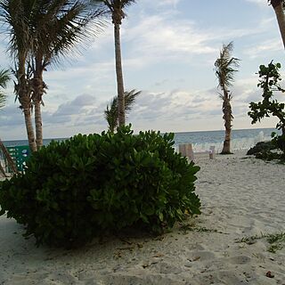 The Ocean at Taino Beach &mdash; Beach
