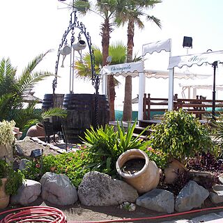 Edificio Palm Beach &mdash; - Restaurants