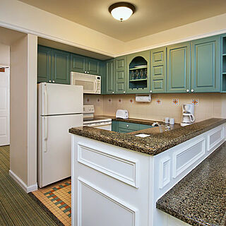 Disney's Saratoga Springs Resort & Spa — Sample unit kitchen