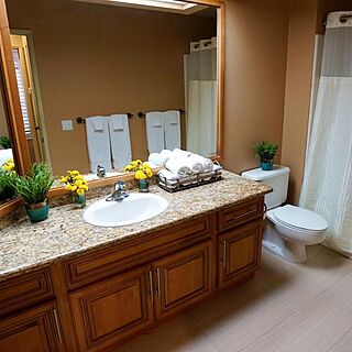 Hyatt Vacation Club at Desert Oasis — Sample Bathroom