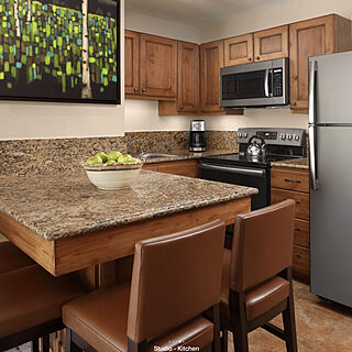 Marriott's Mountain Valley Lodge — Sample studio unit kitchen