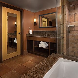 Disney's Animal Kingdom Villas - Kidani Village — Sample bathroom