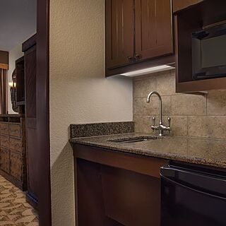 Disney's Animal Kingdom Villas - Kidani Village — Sample Deluxe Studio Kitchenette