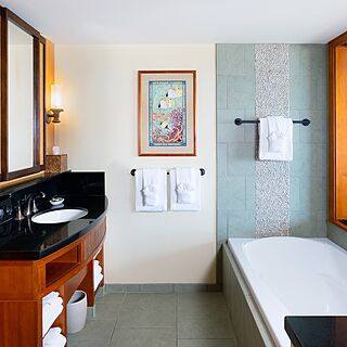 Aulani, a Disney Resort & Spa &mdash; Sample Bathroom