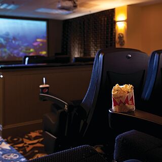 Marriott's Manor Club at Ford's Colony — Move theater