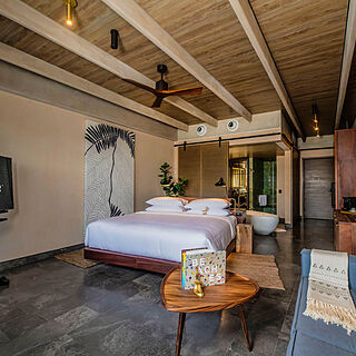 ATELIER Playa Mujeres &mdash; Sample Unit