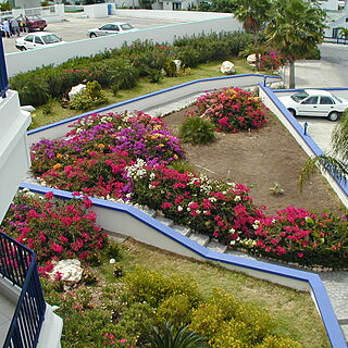 Flamingo Beach Villas — II - View From Terrace