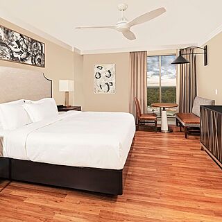 Parc Soleil by Hilton Grand Vacations — Sample Bedroom