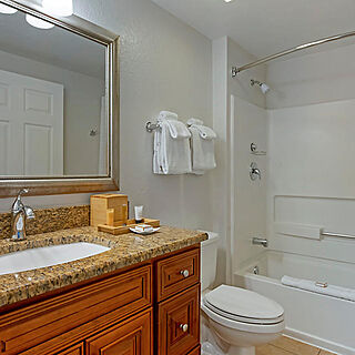 Orlando's Sunshine Resort — Sample Bathroom