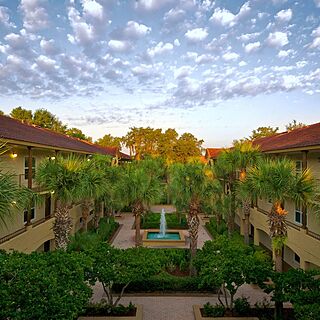 Blue Tree Resort at Lake Buena Vista &mdash; Exterior