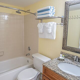 Blue Tree Resort at Lake Buena Vista — Sample Bathroom