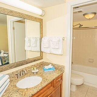 Blue Tree Resort at Lake Buena Vista — Sample Bathroom