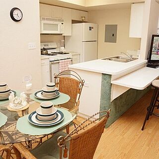 The Villages at Mango Key — Sample Kitchen