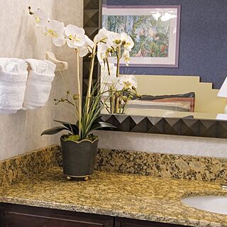 High Point World Resort — Sample Bathroom