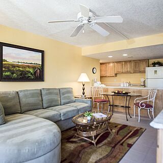 Magic Tree Resort — Sample Living Area