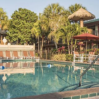 Magic Tree Resort — Pool