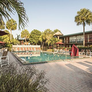 Magic Tree Resort — Pool