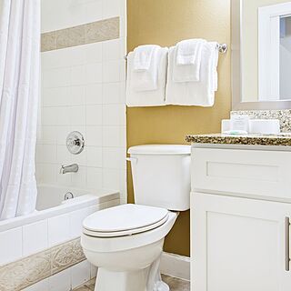 The Houses at Summer Bay Orlando — Sample Bathroom