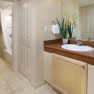 WorldMark Reno — Sample Bathroom