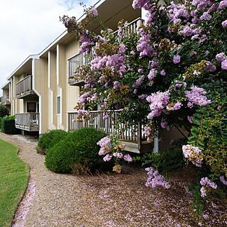 Sea Scape Beach & Golf Villas — Exterior
