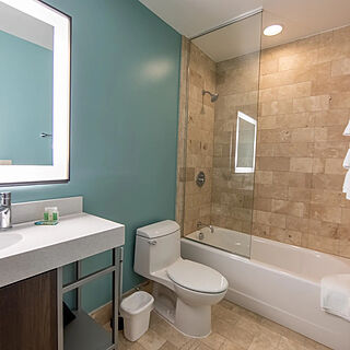 Holiday Inn Club Vacations New Orleans Resort — Sample Bathroom