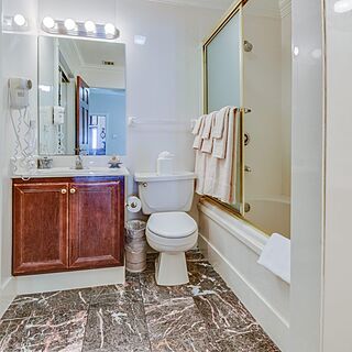 Plaza Suite Hotel Resort — Sample Bathroom