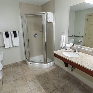Liftside Village at Hunter Mountain Resort — Sample Bathroom