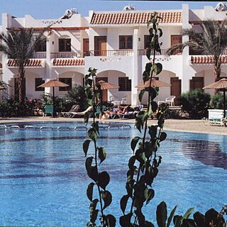 Dive Inn Resort