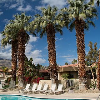 The Oasis Resort — Pool