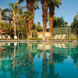 The Oasis Resort — Pool