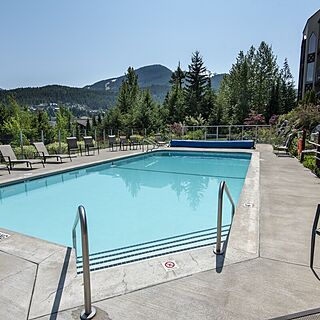 Whiski Jack at the Ironwood — Pool
