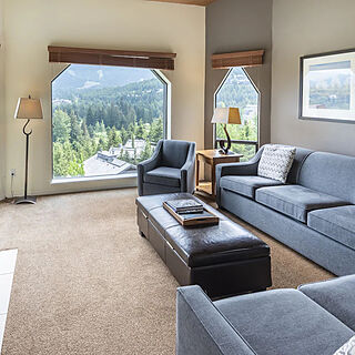 Whiski Jack at the Ironwood — Sample Living Area
