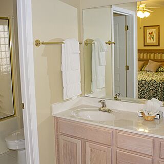 Greensview Branson — Sample Bathroom