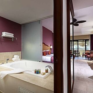 Palladium Vallarta &mdash; Sample Bathroom