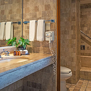 Park Royal Acapulco — Sample Bathroom