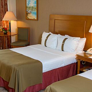 The Palms Resort of Mazatlan — Sample Unit