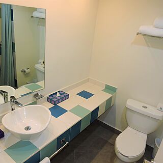 Hotel Fontan Ixtapa &mdash; Sample Bathroom