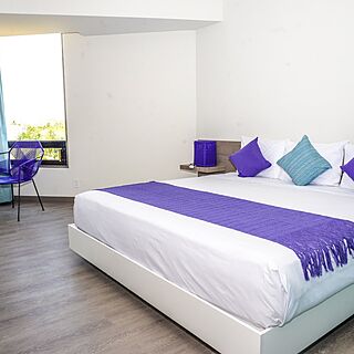 Hotel Fontan Ixtapa &mdash; Sample Unit