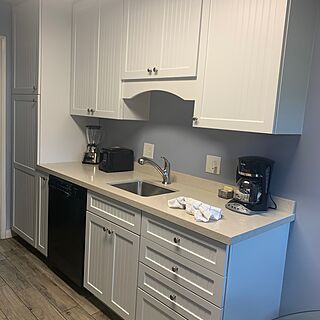 Blue Whale — Sample Kitchen