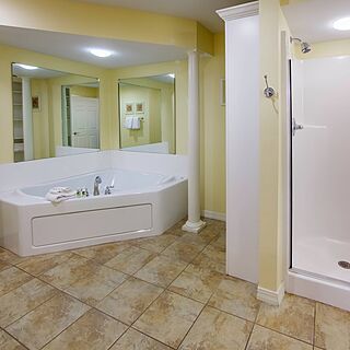 Ozark Mountain Resort — Sample Bathroom