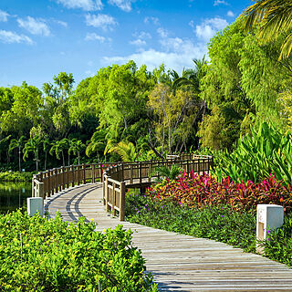 The Grand Bliss at Vidanta Nuevo Vallarta