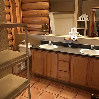 Angel Fire Cabin Share — Sample Bathroom