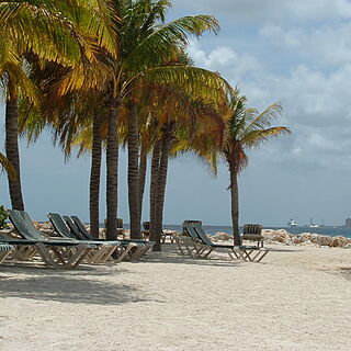 The Royal Sea Aquarium Resort — The Sea Aquarium Resort - Beach