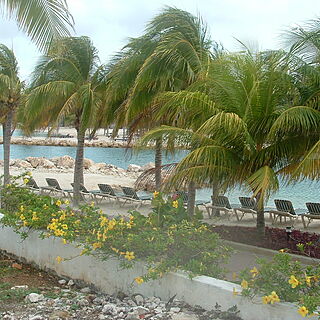 The Royal Sea Aquarium Resort — The Sea Aquarium Resort - Beach